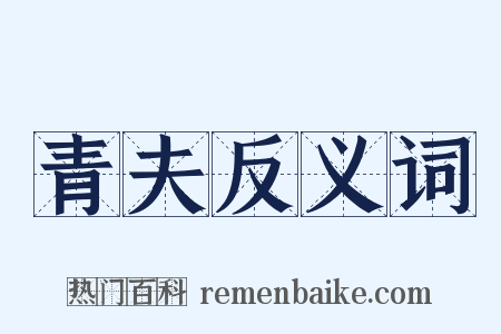 青夫反义词是什么意思的图片